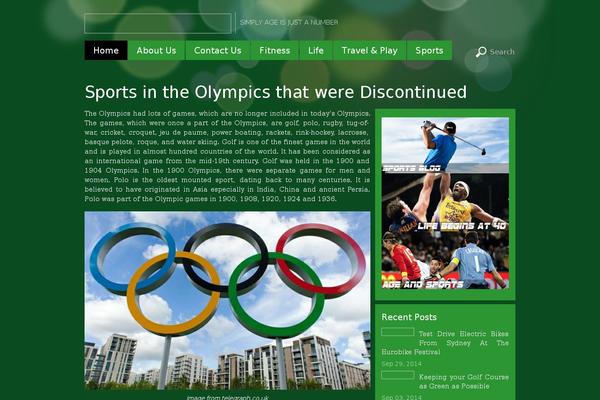 Metro theme site design template sample