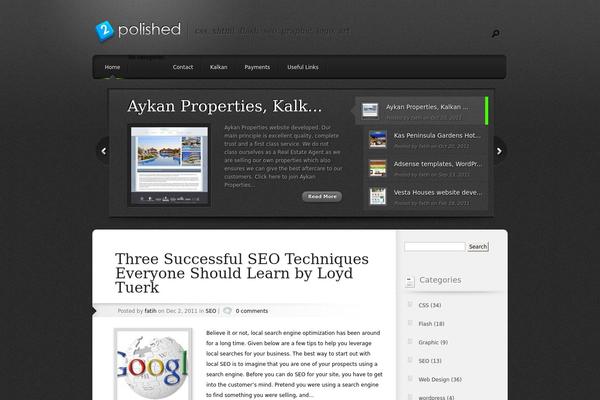 Polished theme site design template sample
