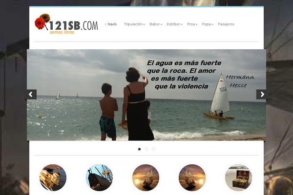 splaty theme websites examples