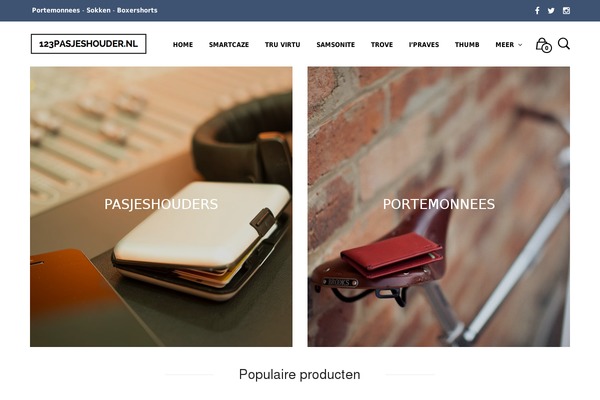 Mr. Tailor theme site design template sample
