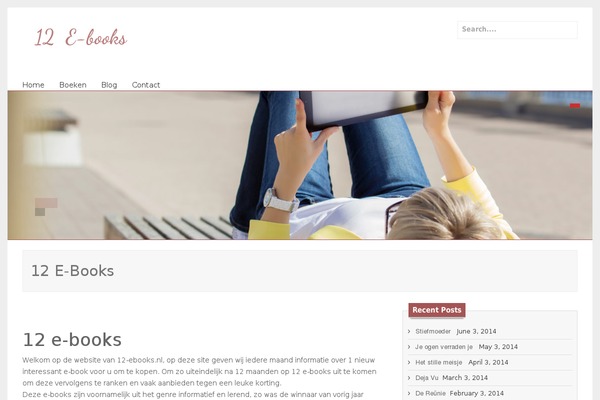 Bose theme site design template sample