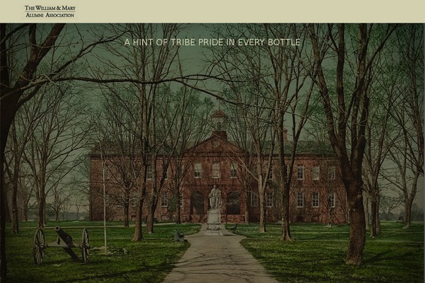 Hayden theme site design template sample