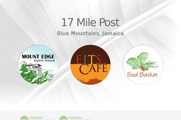 Nimble theme site design template sample