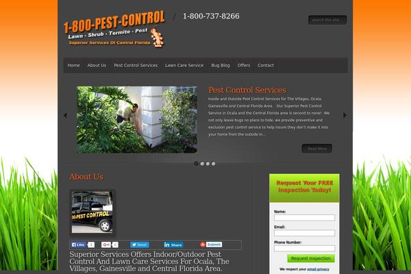 Minimal theme site design template sample