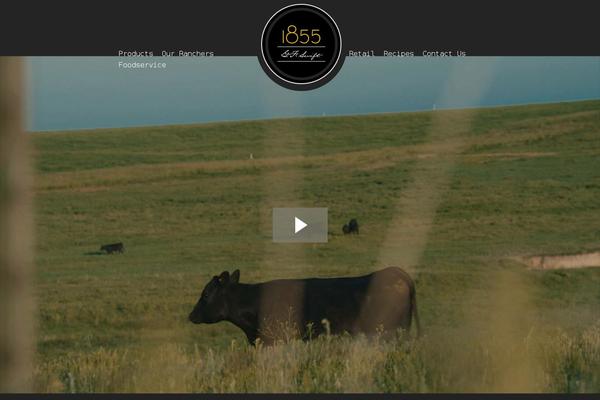 Boilerplate theme site design template sample