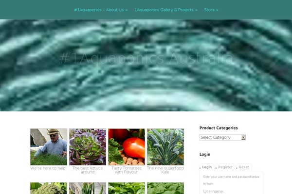 Vertex theme site design template sample