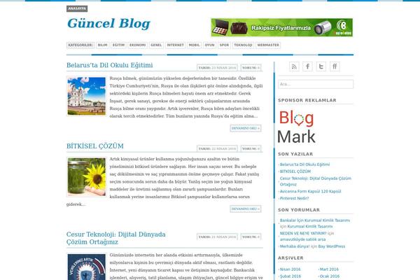 Bisade theme site design template sample