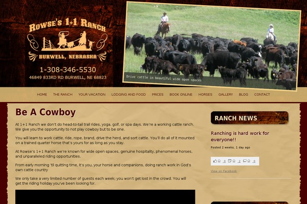 Alizee theme site design template sample