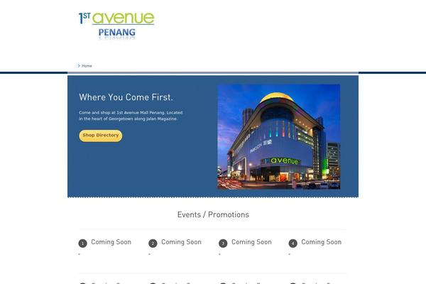 ToomMorel Lite theme site design template sample