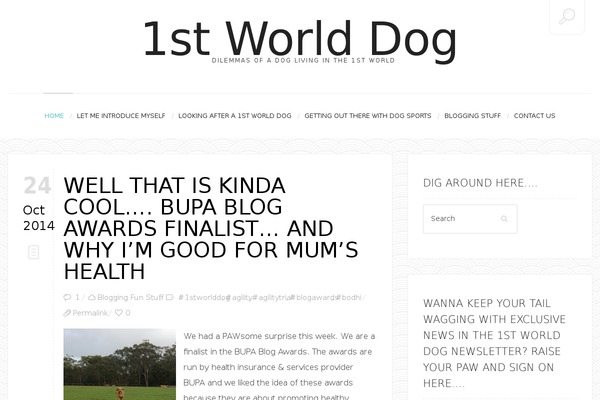 John Doe's Blog theme site design template sample