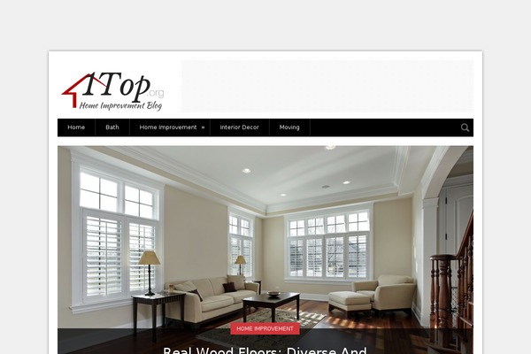 1top.org site used Fuzion Blog