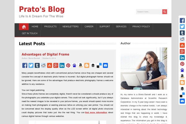 MineZine theme site design template sample
