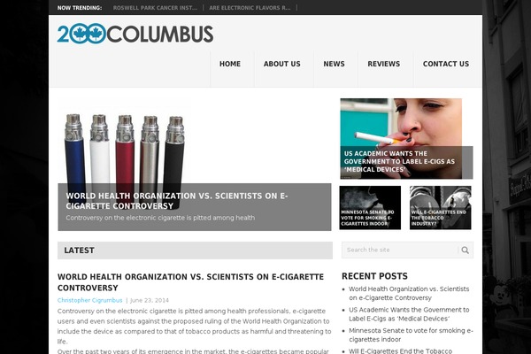 Point theme site design template sample