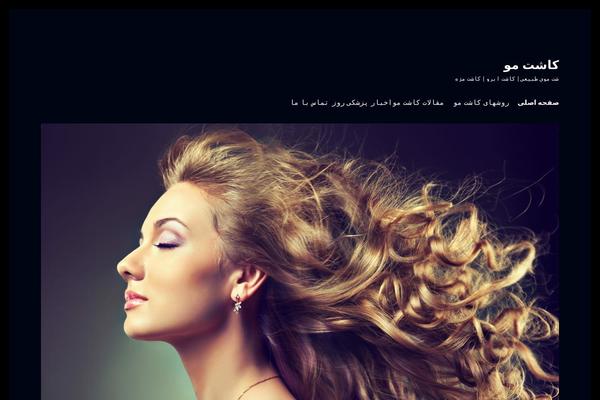 4dah WordPress theme, websites list used 4dah theme 4dah theme websites examples