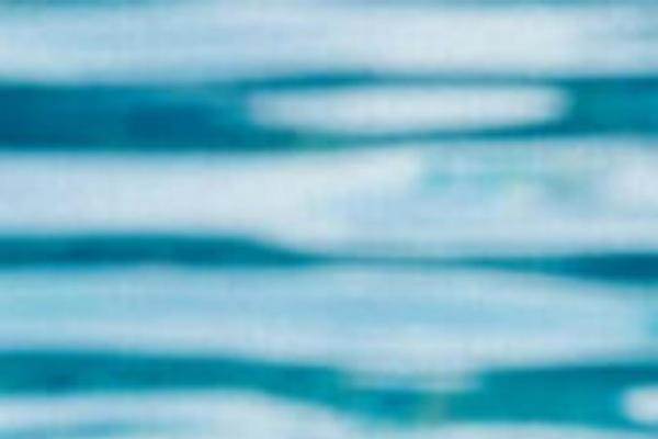 Site using Ean-for-woocommerce plugin