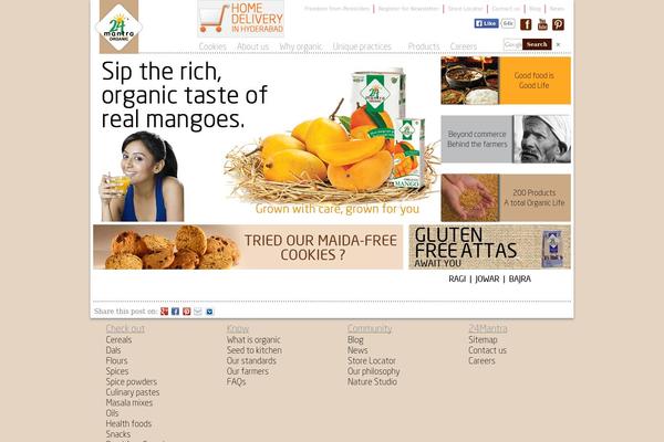 Official theme site design template sample