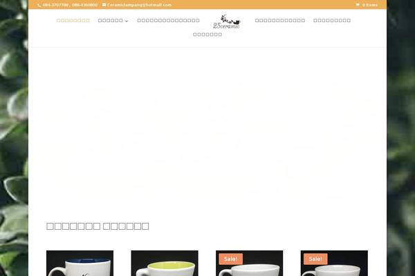 Site using Bloom plugin