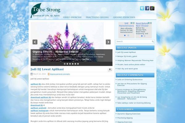 2bestrong.com site used Healthfitnessnewwpthemes