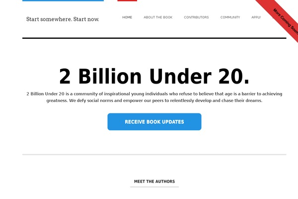 Hustle theme site design template sample