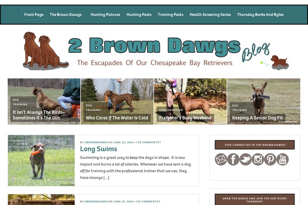 Nitro theme site design template sample
