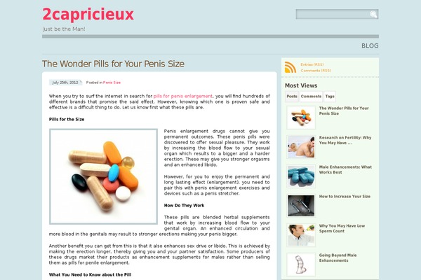 2capricieux.com site used LB - Spring 2009
