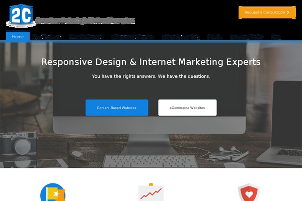 2c theme websites examples