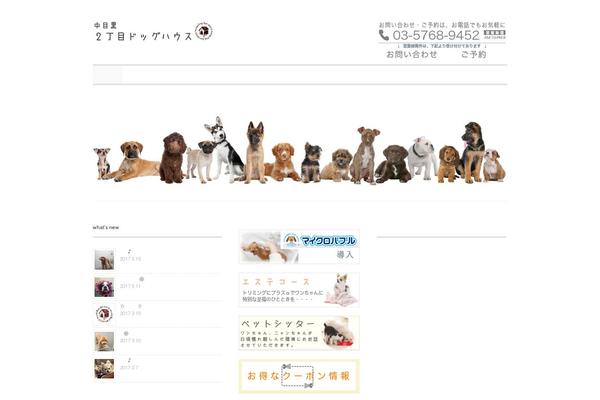 Cocoon-child-master theme site design template sample