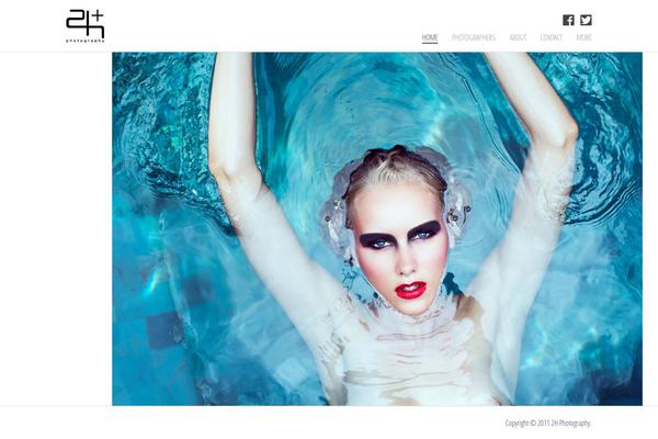 hc_2h theme websites examples