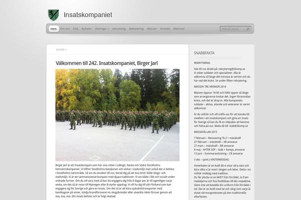 TheProfessional theme site design template sample