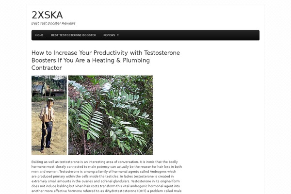 Tiga theme site design template sample