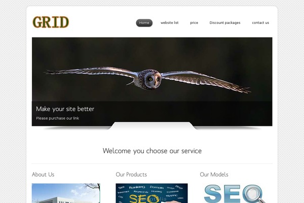 Dzonia Lite theme site design template sample