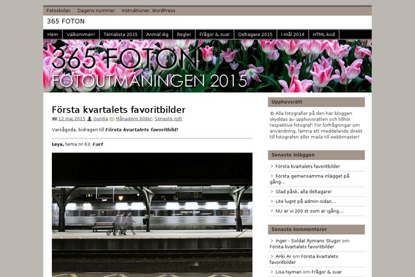 zeeMagazine theme site design template sample
