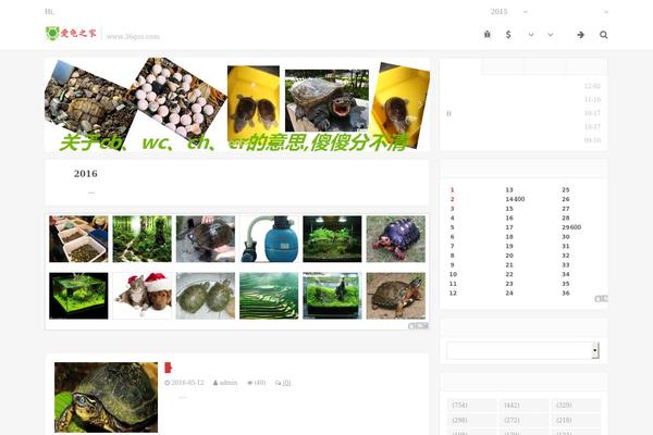 Dux theme site design template sample