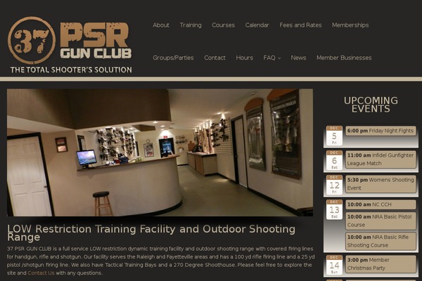Celestino theme site design template sample