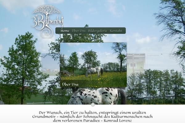 Envisioned theme site design template sample