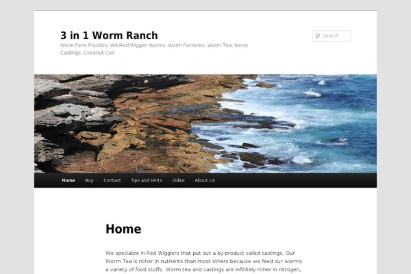 Twenty Eleven theme site design template sample