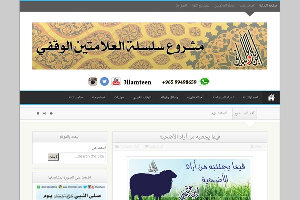 amour theme websites examples