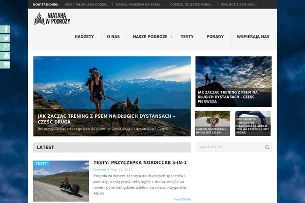Point theme site design template sample