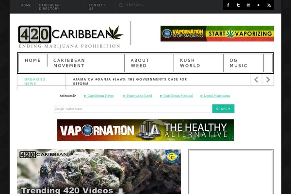 Maxinews theme site design template sample