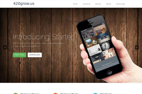 Starter theme site design template sample