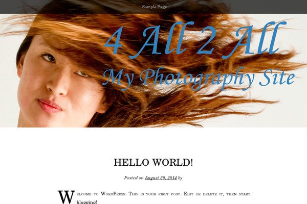 Book Lite theme site design template sample