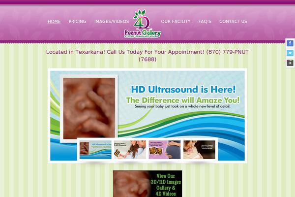 theme1756-child theme websites examples