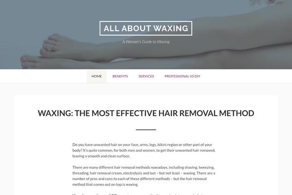 Toivo Lite theme site design template sample