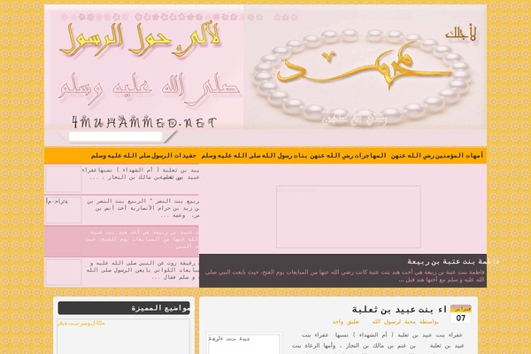 4muhammed.net site used Falcon