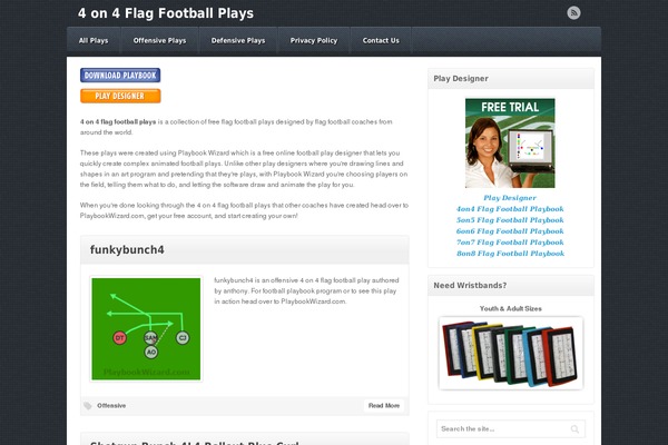 Akita theme site design template sample