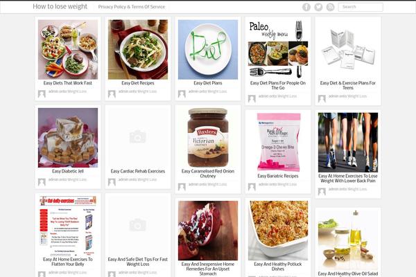 iPin theme site design template sample