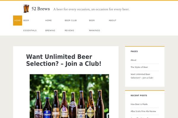 Ignite theme site design template sample