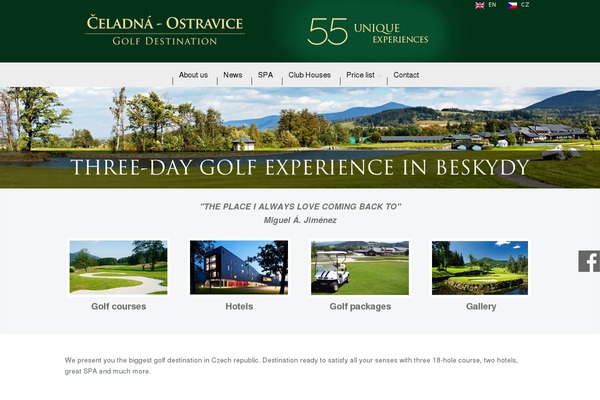 Salbii theme site design template sample
