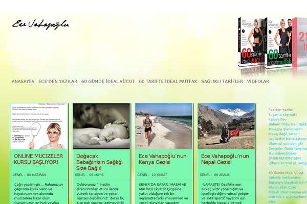 TheStyle theme site design template sample