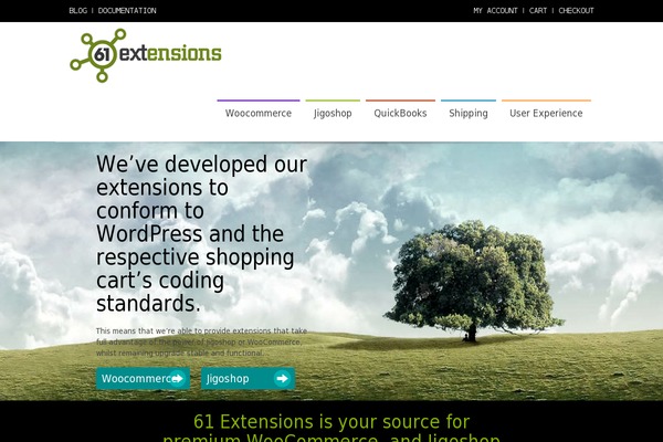 Divi theme site design template sample